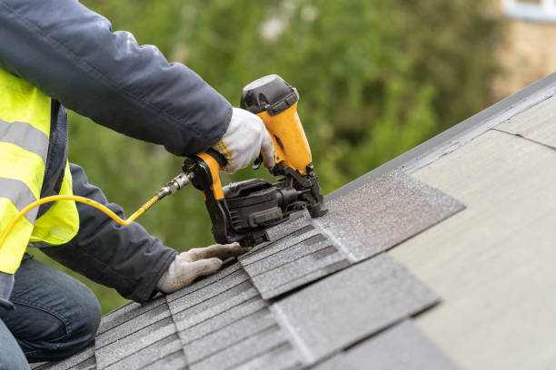 Best Roof Moss and Algae Removal  in Weiser, ID