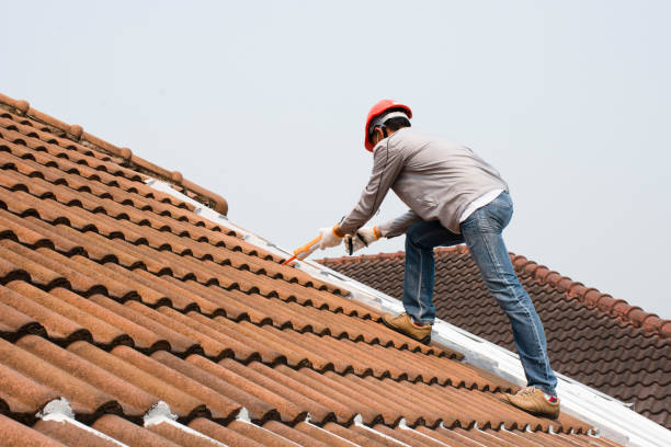 Best Rubber Roofing (EPDM, TPO)  in Weiser, ID