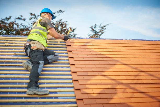 Best Solar Panel Roofing Installation  in Weiser, ID